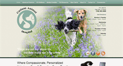 Desktop Screenshot of carlsonanimalhospitals.com